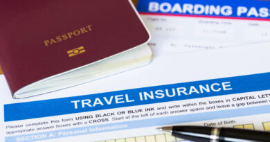 Travel Insurance in Denmark info